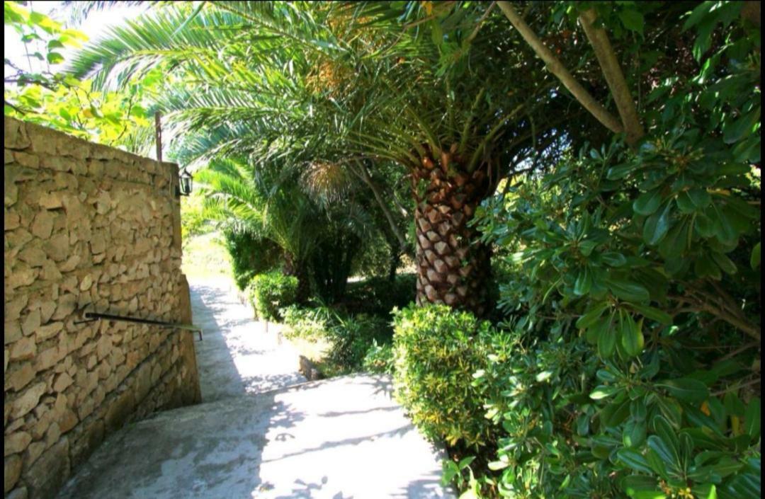 Ivan And Marica Guest House Lopud Dış mekan fotoğraf